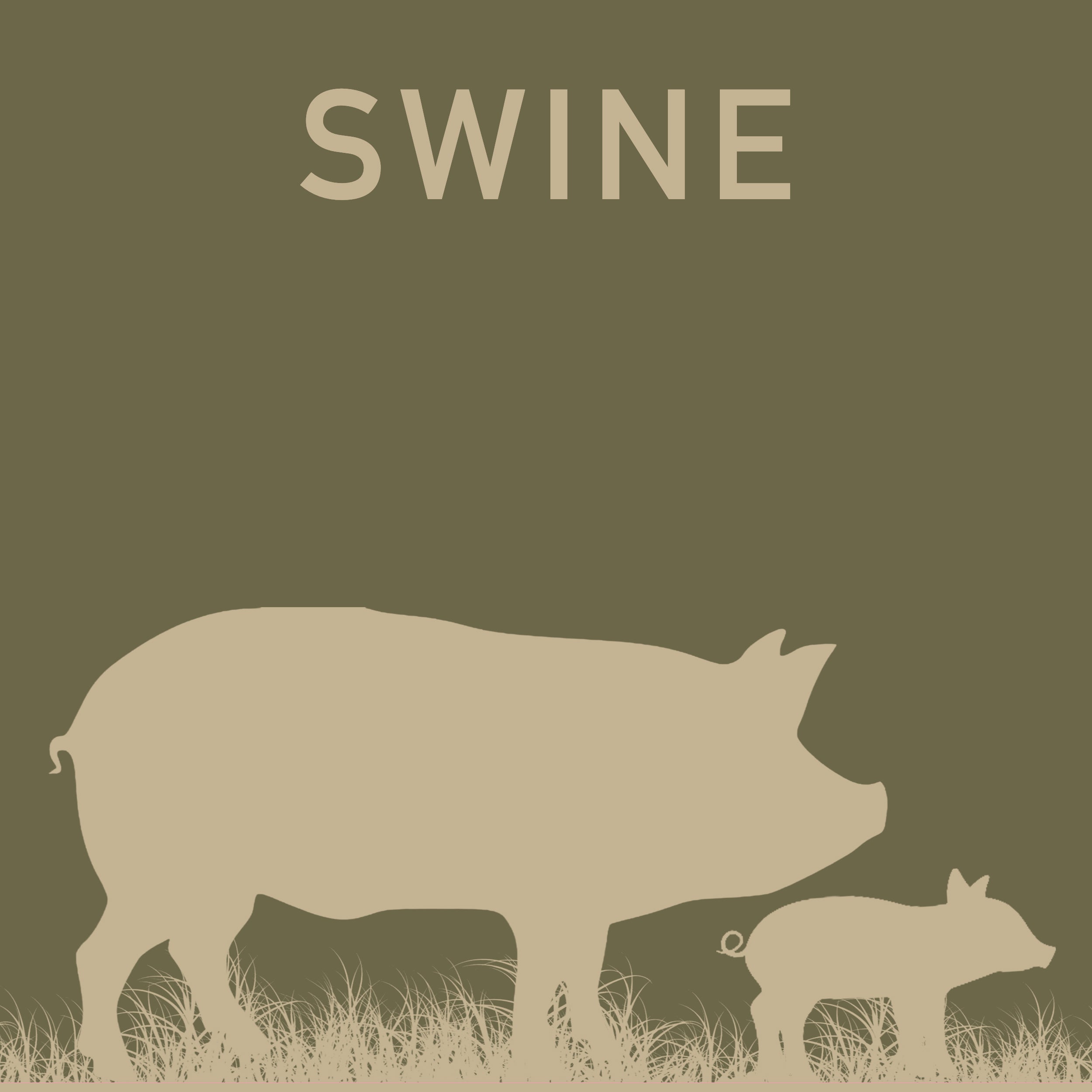 SWINE
