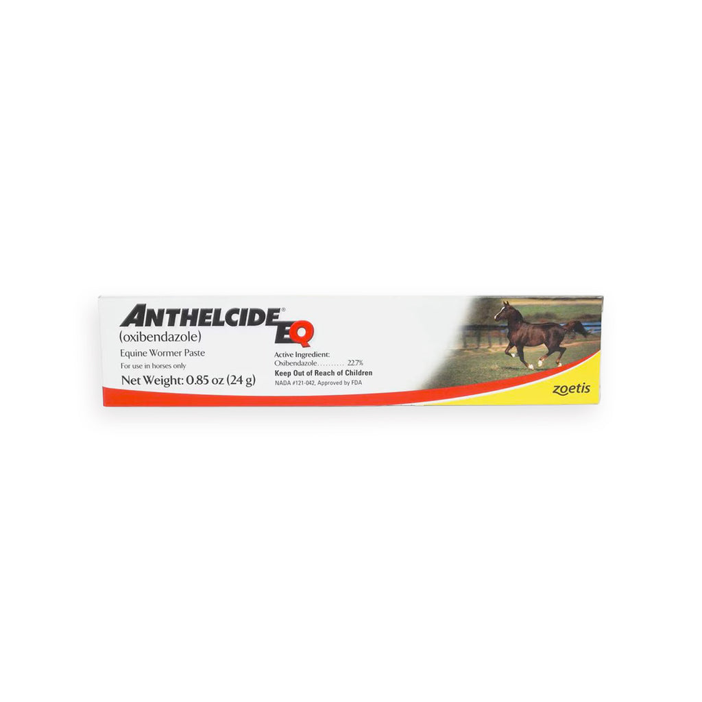ANTHELCIDE® EQ PASTE 24 G SYRINGE 1/PKG