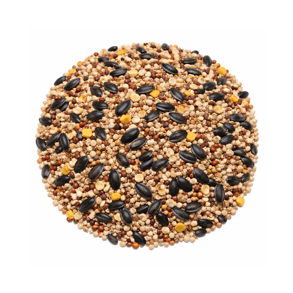 Wild Bird Seed