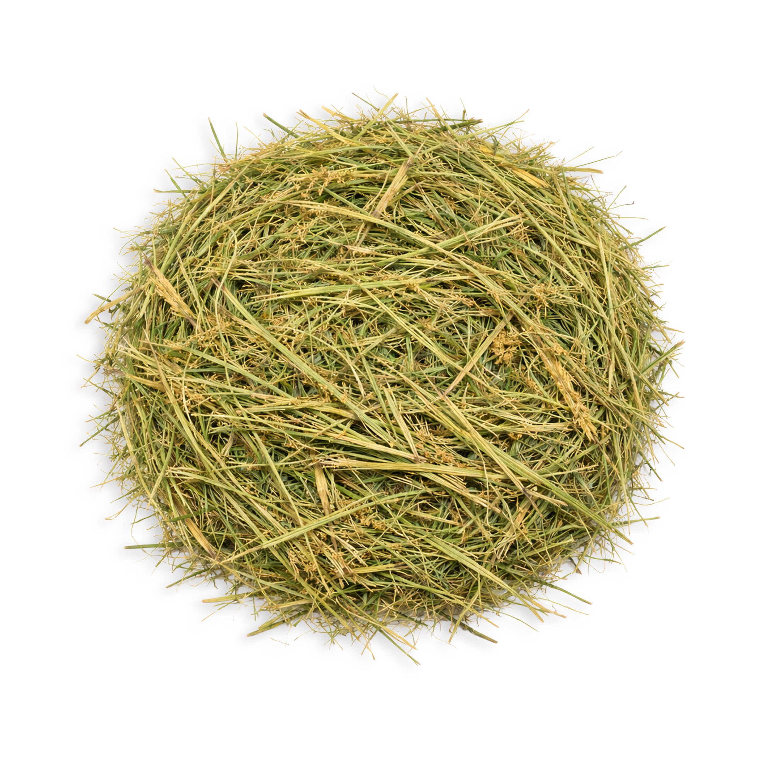Cow Grass Hay