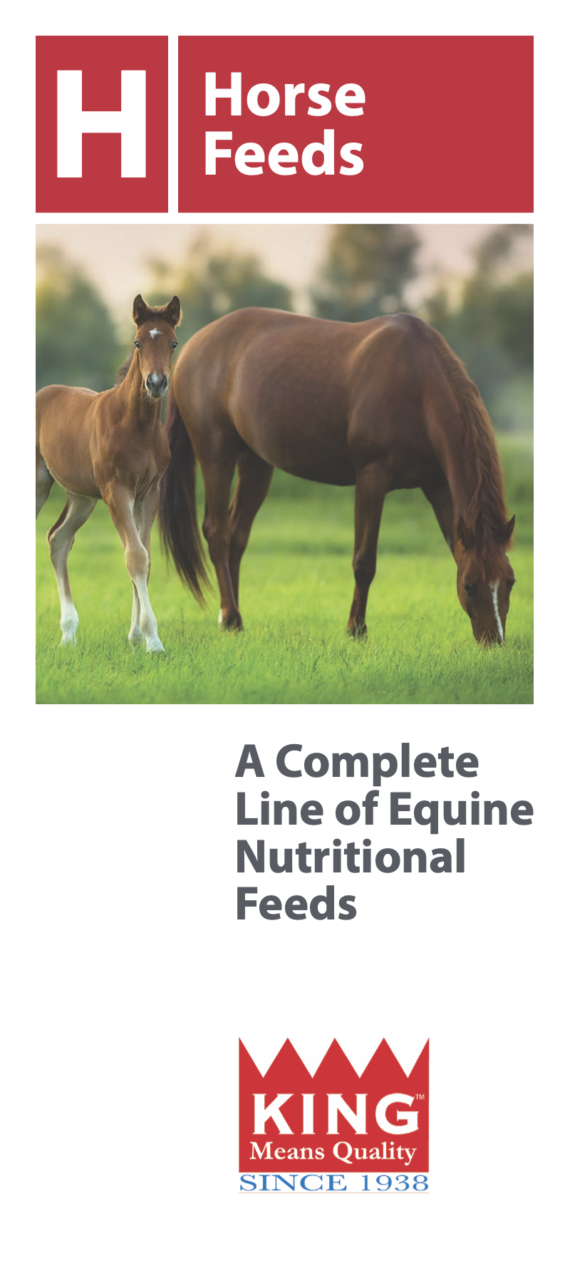 CarboCarboraider Concentrate