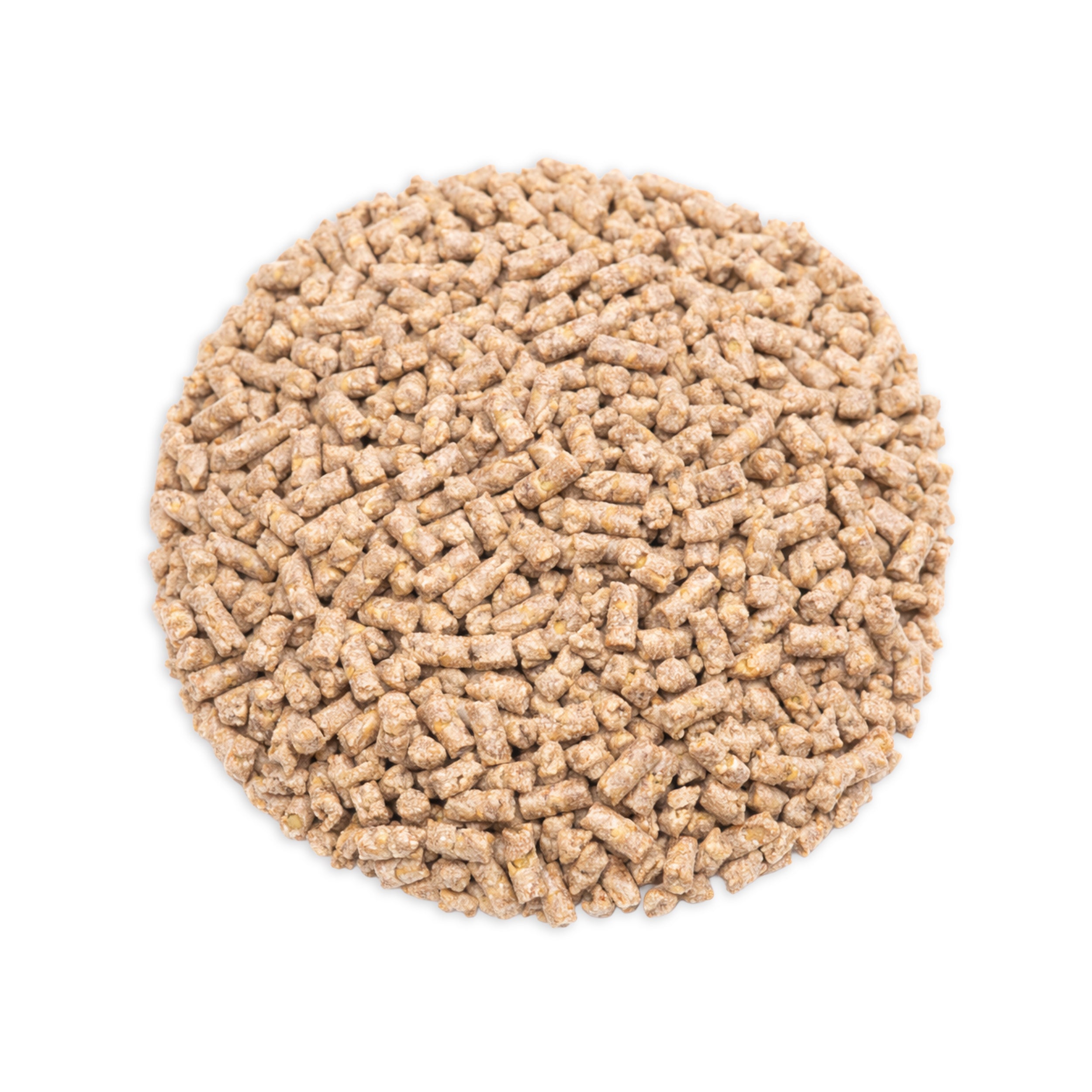 Pro Am Layer Show & Grow